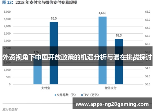 外资视角下中国开放政策的机遇分析与潜在挑战探讨