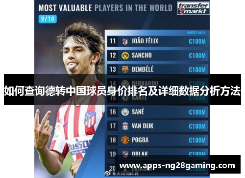 如何查询德转中国球员身价排名及详细数据分析方法