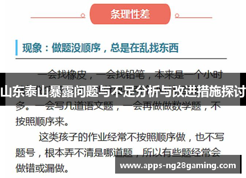 山东泰山暴露问题与不足分析与改进措施探讨
