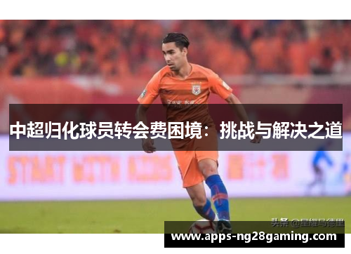 中超归化球员转会费困境：挑战与解决之道