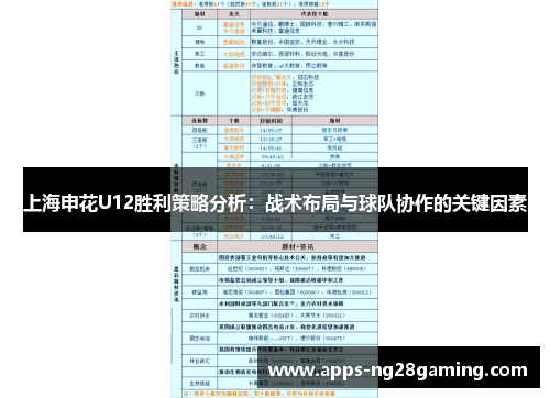 上海申花U12胜利策略分析：战术布局与球队协作的关键因素