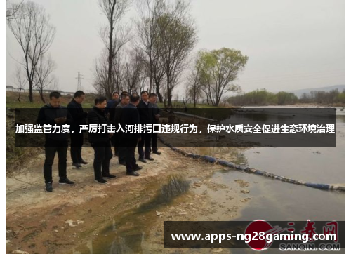 加强监管力度，严厉打击入河排污口违规行为，保护水质安全促进生态环境治理