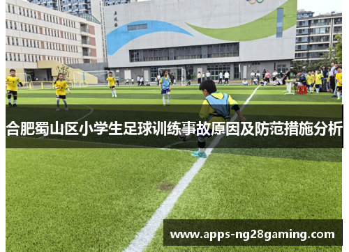 合肥蜀山区小学生足球训练事故原因及防范措施分析