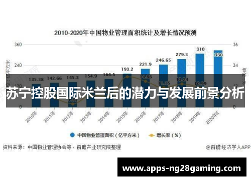 苏宁控股国际米兰后的潜力与发展前景分析