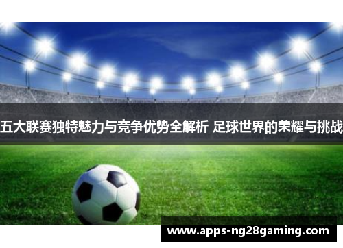 五大联赛独特魅力与竞争优势全解析 足球世界的荣耀与挑战