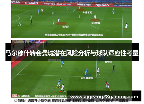 马尔穆什转会曼城潜在风险分析与球队适应性考量
