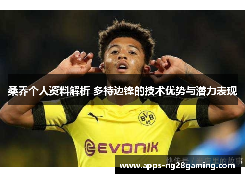 桑乔个人资料解析 多特边锋的技术优势与潜力表现