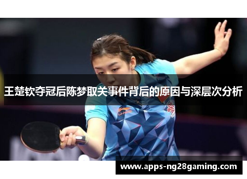 王楚钦夺冠后陈梦取关事件背后的原因与深层次分析